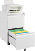 2 Drawer Metal Storage Filing Cabinet with Lock White Lateral File Cabinet for Home Office Horizontal and Vertical for Legal/Letter/A4 Assembly Required White