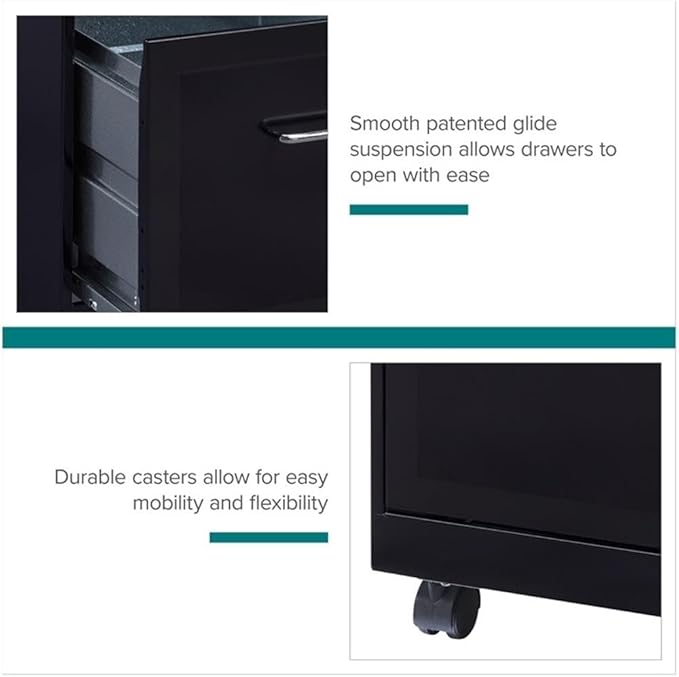 Pemberly Row 2 Drawers 26.7 Vertical Black Metal Filing Cabinet Lockable Pre-Assembled Movable Letter Size for Home Office