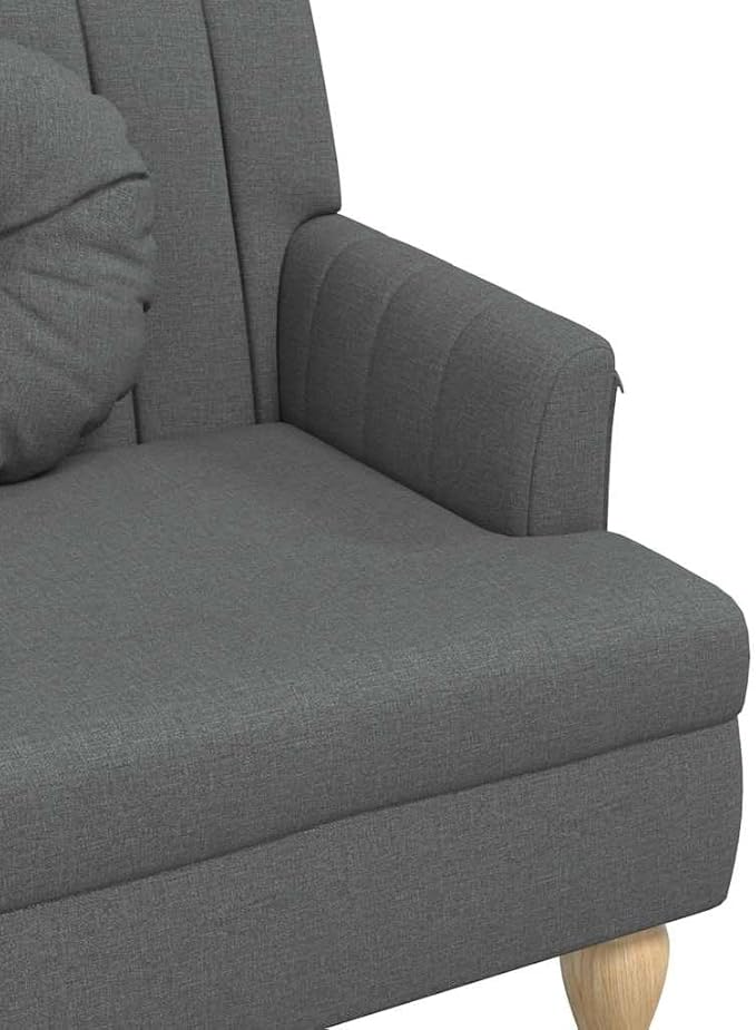 vidaXL 44 W Small Loveseat with Round Pillows Fabric Sofa with Armrests &amp Wooden Feet Modern 2 Seater Couch for Small Spaces Ideal for Living Room &amp Bedroom Dark Gray