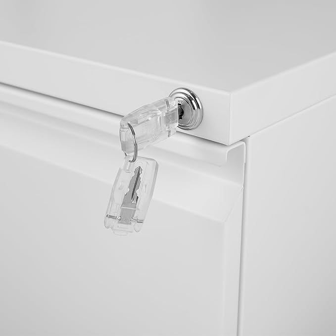 2 Drawer Metal Storage Filing Cabinet with Lock White Lateral File Cabinet for Home Office Horizontal and Vertical for Legal/Letter/A4 Assembly Required White