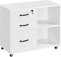 Mobile File Cabinet File Cabinet Mobile Letter Size Organization Unit Lateral Filing Printer Stand for Home and OfficeWhite(White)