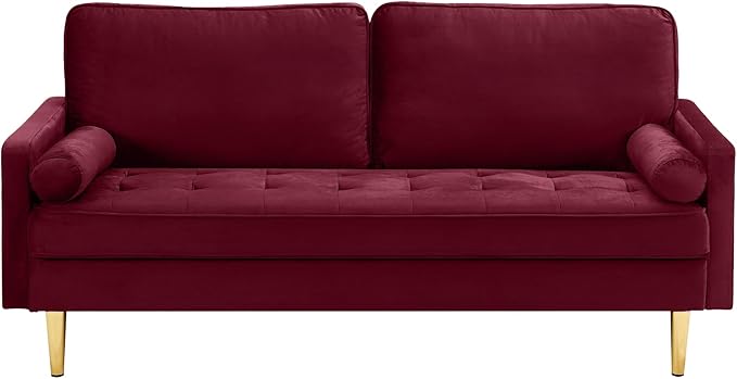65'’ Velvet Upholstered Loveseat Sofa with Gold Metal Legs Modern Tufted Backrest Couch Solid Wood Frame for Living Room BedroomApartmentOfficeSmall Space (Red)