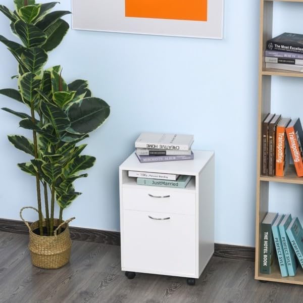 File Cabinet/Storage Cabinet1 Shelf and 2 Drawers-White