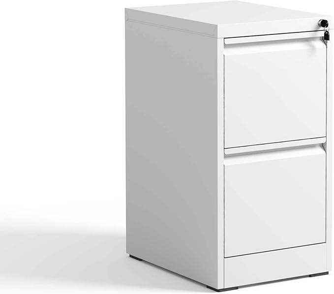 2 Drawer Small File Cabinet with LockUnder Desk Storage OrganizerModern Farmhouse Filing Cabinets for Home Office Locking DrawersWhite