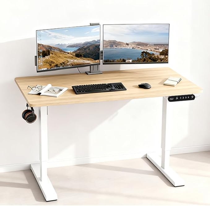 Ball &amp Cast Electric Standing Desk 48 x 24 Inches Height Adjustable Sit Stand Desk with Memory Preset &amp Built-in Type-C Charging Motorized Home Office Computer Gaming Desk Modern Oak