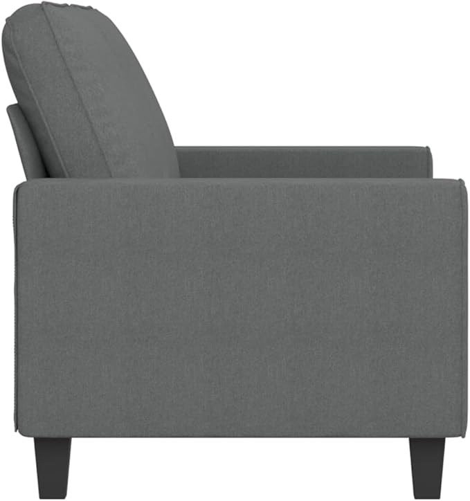 vidaXL 2-Seater Fabric Sofa – Simple and Modern Design Comfortable Heavy-Duty Dark Gray Couch – Ideal for Living Room Lounge Office