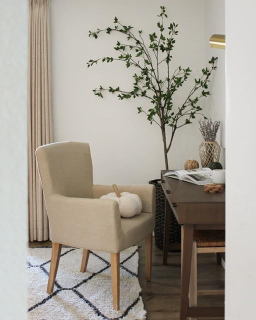 SAFAVIEH Dale Arm Chair Accent Chairs