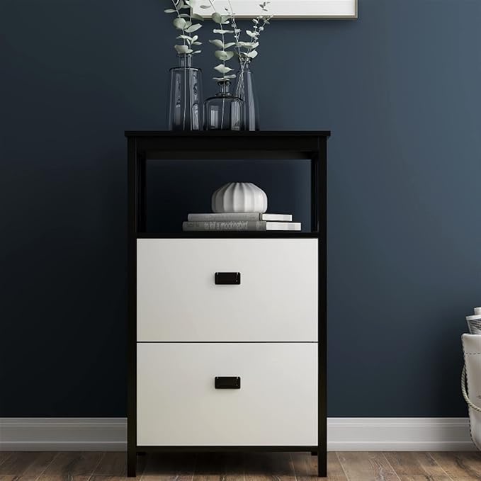 HASMI Filing Cabinet 2 Drawer Vertical File Cabinet with Open Storage Shelves Modern File Cabinet Lateral Filing Cabinet for Home Office Furniture Storage Cabinet
