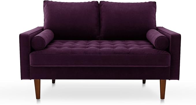 SILKIR Velvet Loveseat Sofa Love Seats Furniture for Small Spaces Mid-Century Modern Loveseats for Living Room Love Seat Couch 58 Inches Eggplant