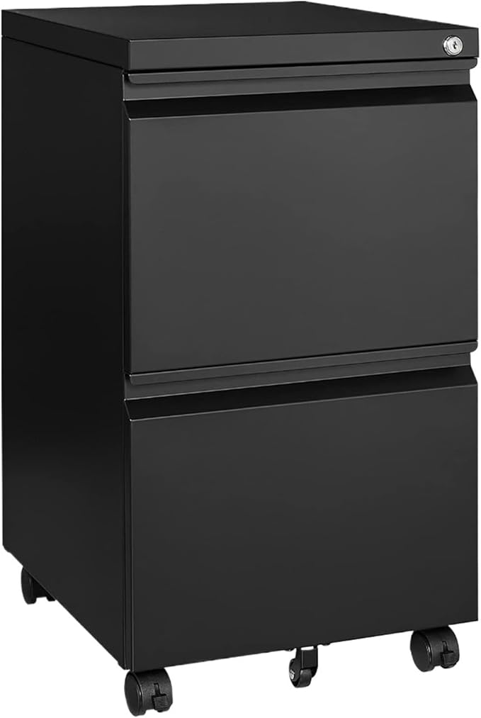 Mobile File Cabinets 2 Drawer On Wheels Home Office Mobile Under Desk with Lock Vertical Files Drawers for Legal/Letter/A4 Filing Cabinets