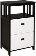 HASMI Filing Cabinet 2 Drawer Vertical File Cabinet with Open Storage Shelves Modern File Cabinet Lateral Filing Cabinet for Home Office Furniture Storage Cabinet