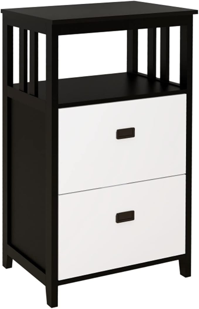 HASMI Filing Cabinet 2 Drawer Vertical File Cabinet with Open Storage Shelves Modern File Cabinet Lateral Filing Cabinet for Home Office Furniture Storage Cabinet