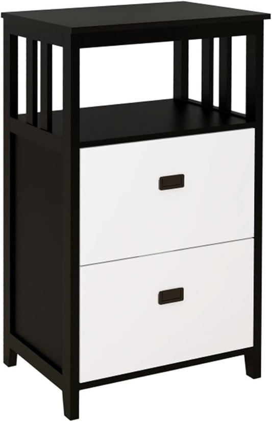HASMI Filing Cabinet 2 Drawer Vertical File Cabinet with Open Storage Shelves Modern File Cabinet Lateral Filing Cabinet for Home Office Furniture Storage Cabinet