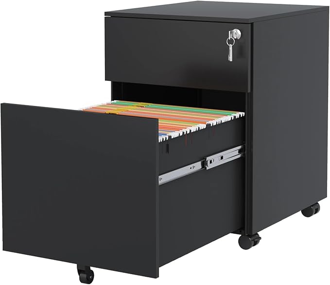 Mobile File Cabinet Steel Mobile File Cabinet with 2 Drawers Lock for Home Office Legal Letter A4 F4 Size 15.35x7.72x21.18 Inch(Black)
