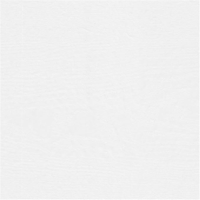 Bush Furniture Westbrook 60W Computer Desk with Storage Cabinet in White Ash | Farmhouse Desk for Home Office Workspace