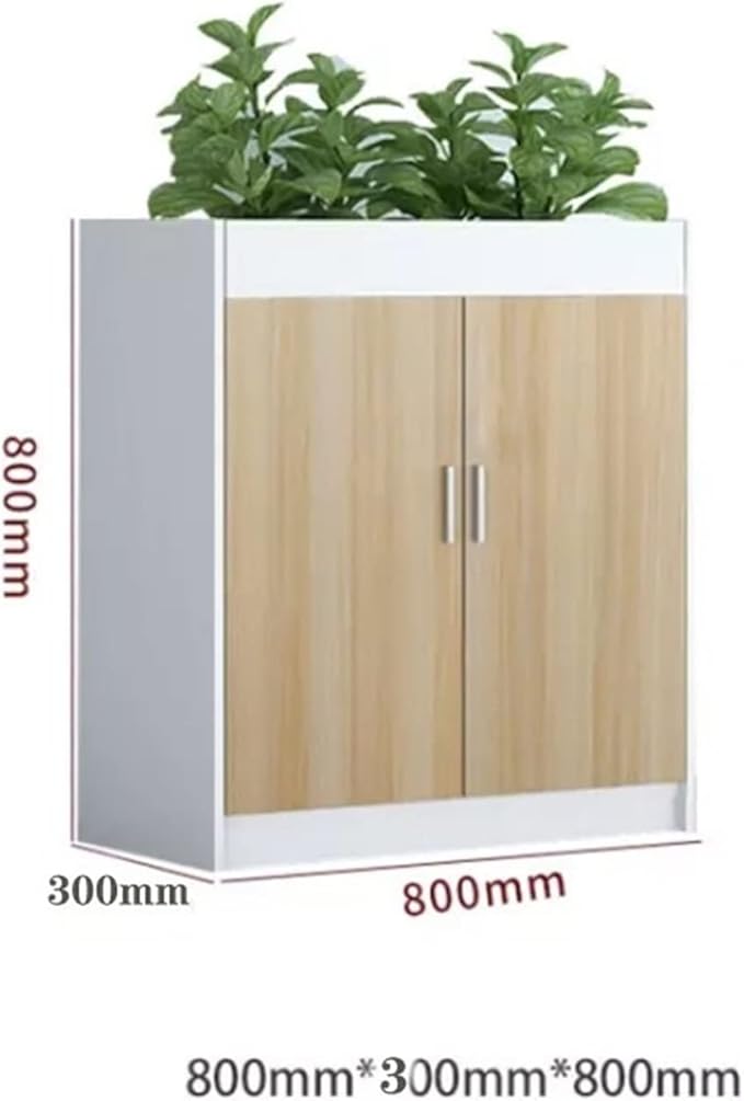 Filing Cabinet Storage Cabinet Low Cabinet Partition Cabinet Office Cabinet Data Cabinet Office Storage Cabinet File Cabinet Flower Slot Cabinet with Lock Storage Cabinet ( Color : 800*300*800 )