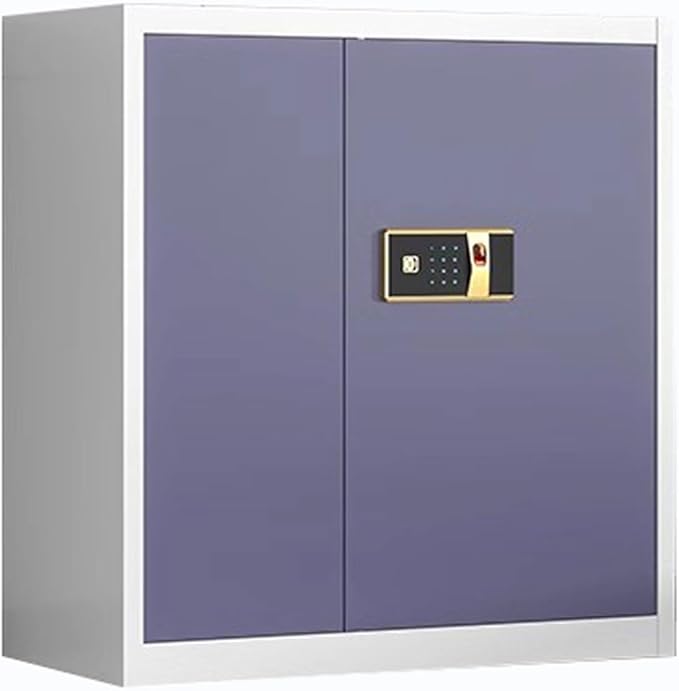 Steel Combination File Cabinet Office Fingerprint with Lock File Information Storage Cabinets Tin Cupboards(A)