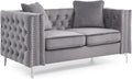 Glory Furniture Paige Velvet Loveseat in Gray