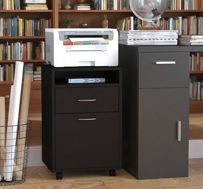 Mobile File Cabinet with 2 Drawers Under Desk Filing Cabinets Printer Stand Rolling Office Storage Cabinet with 4 Wheels for Home Office Organizer Letters/Legal/A4 (Black)