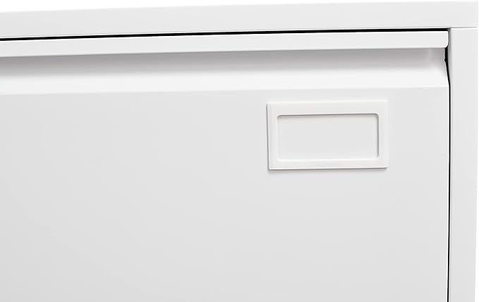 Generic Biometric Fingerprint Lateral File Cabinet Large Drawer Metal Filing Cabinet with Hanging Rod for Letter A4 documents and so on for Home Office Using Assembly Required White