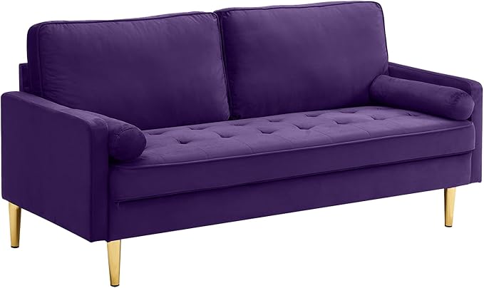 65'’ Velvet Upholstered Loveseat Sofa with Gold Metal Legs Modern Tufted Backrest Couch Solid Wood Frame for Living Room BedroomApartmentOfficeSmall Space (Purple)