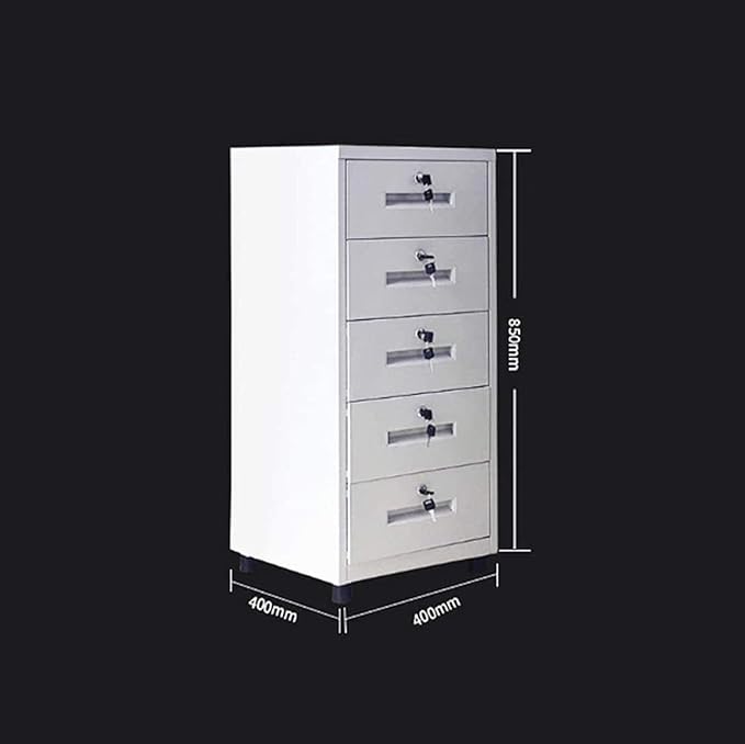 Metal File Cabinet with Lock | Floor-Standing Home Office Storage Solution(Black)