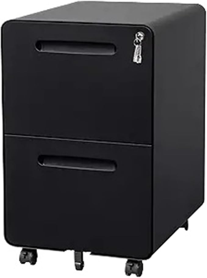 Mobile File Cabinet 2 Drawer File Cabinet with Lock and 4 Keys Mobile Metal Filing Cabinet File Cabinets for Home Office Under Desk Pre-Assembly(Black)
