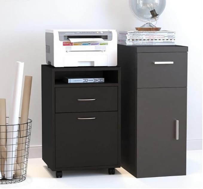 Mobile File Cabinet with 2 Drawers Under Desk Filing Cabinets Printer Stand Rolling Office Storage Cabinet with 4 Wheels for Home Office Organizer Letters/Legal/A4 (Black)