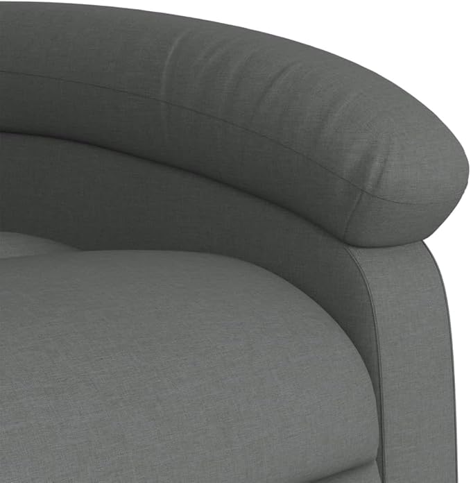 vidaXL Recliner Chair Dark Grey 100% Polyester Fabric Metal Plywood