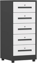 File Cabinet 5 Drawer File Cabinet Vertical Filing Cabinet Organizer File Cabinet with Lock Under Desk Storage(Color:Black)