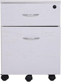 GLigeT Filing Cabinet 2-Drawer Filing Cabinet Office Drawers w/Keys Compact Slim Portable File Cabinet Pre-Built Office Storage Cabinet for A4/Letter File Storage Cabinets