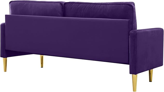 65'’ Velvet Upholstered Loveseat Sofa with Gold Metal Legs Modern Tufted Backrest Couch Solid Wood Frame for Living Room BedroomApartmentOfficeSmall Space (Purple)