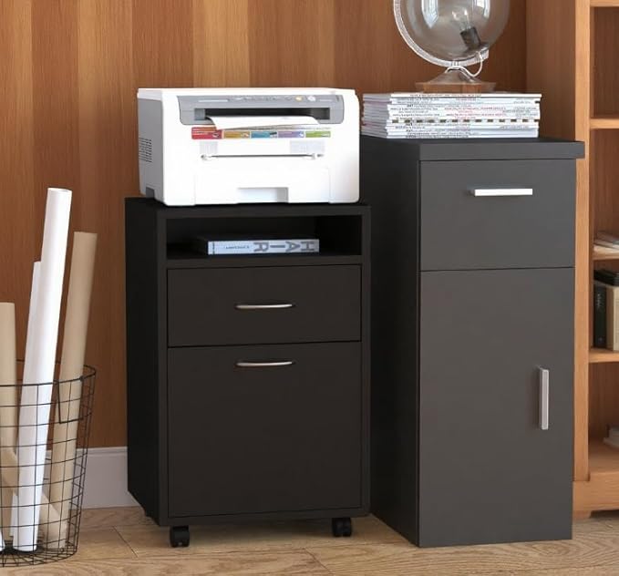 Mobile File Cabinet with 2 Drawers Under Desk Filing Cabinets Printer Stand Rolling Office Storage Cabinet with 4 Wheels for Home Office Organizer Letters/Legal/A4 (Black)