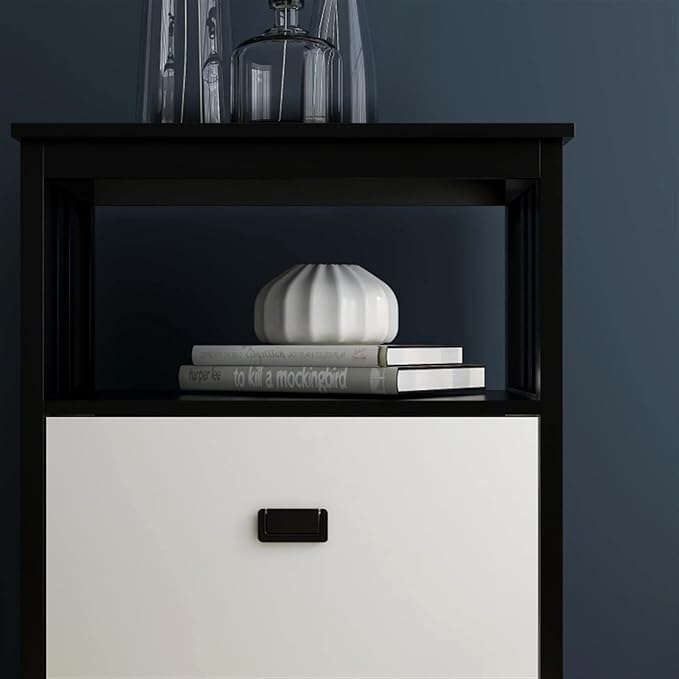 HASMI Filing Cabinet 2 Drawer Vertical File Cabinet with Open Storage Shelves Modern File Cabinet Lateral Filing Cabinet for Home Office Furniture Storage Cabinet