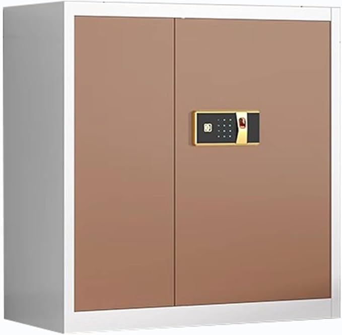 Steel Combination File Cabinet Office Fingerprint with Lock File Information Storage Cabinets Tin Cupboards(B)