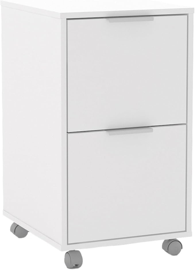 Mobile File Cabinet Mobile File Cabinet with 2 Drawers Rolling Storage Solution Office Home