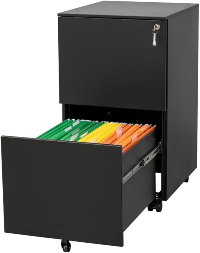 Mobile File Cabinet with Lock 2 Drawer Steel Filing Cabinet for Legal/Letter/A4/F4 Files Fully Assembled Except Wheels Cold-Rolled Metal Full Extension Drawers (Black)