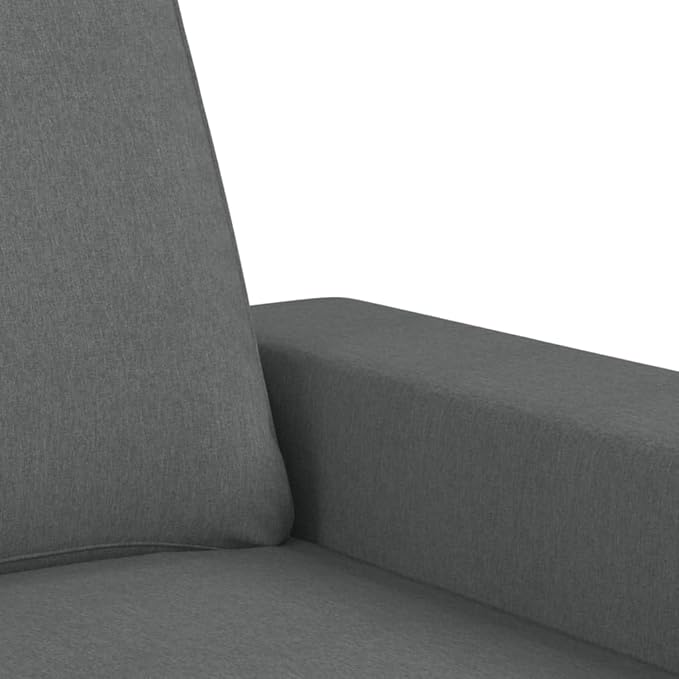 vidaXL 2-Seater Fabric Sofa – Simple and Modern Design Comfortable Heavy-Duty Dark Gray Couch – Ideal for Living Room Lounge Office