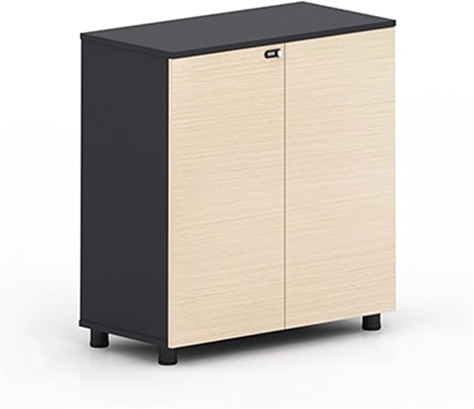 Office Filing Cabinet Double Door Storage CabinetFile CabinetWith Combination LockTwo Storage Under Desk Storage
