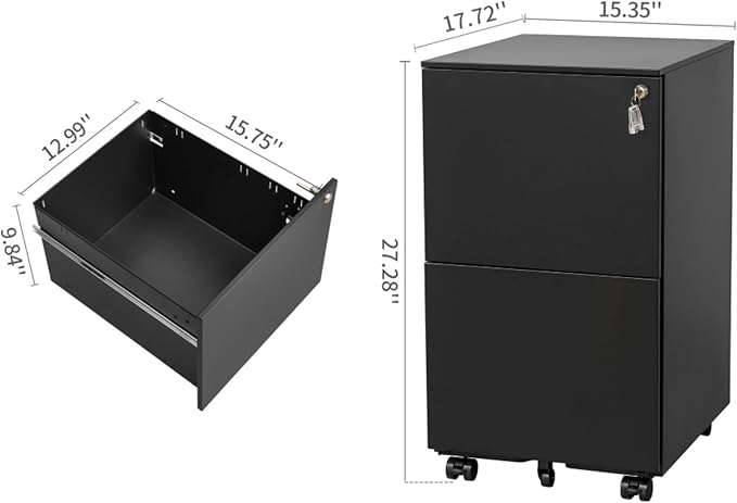 Mobile File Cabinet with Lock 2 Drawer Steel Filing Cabinet for Legal/Letter/A4/F4 Files Fully Assembled Except Wheels Cold-Rolled Metal Full Extension Drawers (Black)