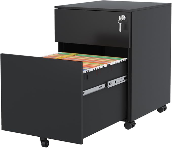 Hassyee Rolling Mobile 2 Drawer File Cabinet with 360° Rotation Caster Home Office File Cabinet with Full-Extension Slides for Legal/Letter/A4/F4 Size