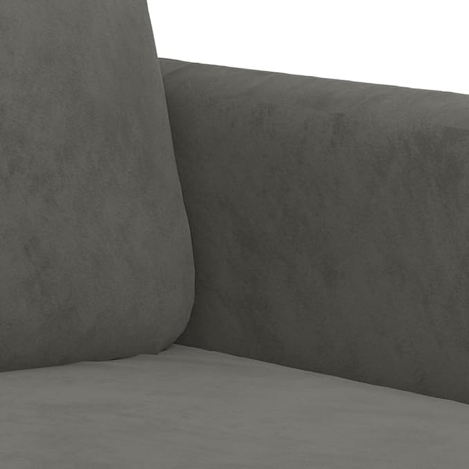 vidaXL 47.2 Durable 2-Seater Sofa in Dark Grey Velvet