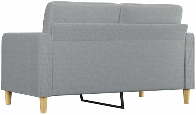 vidaXL Fabric Sofa 2-Seater Lounge Couch with Metal Frame Modern Light Gray Fabric Sofa for Living Room Lounge Bedroom Indoor Use Dimensions: 62.2 x 30.3 x 31.5