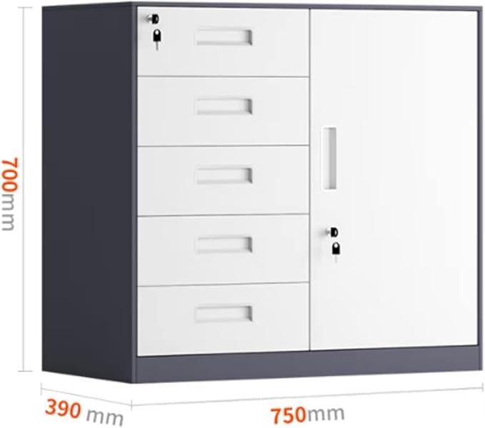 File Cabinet Steel File Cabinet 5 Drawer with Lock Vertical Filing Cabinet Printer Shelf Under Desk Storage(Color:Gray Thickened Style)