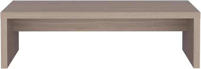 19 Wide Monitor Stand Riser Laptop Stand for Desk Laptop Riser Desk Organizer for Monitor Computer Stand for Laptop PC Printer for Home Office Light Gray