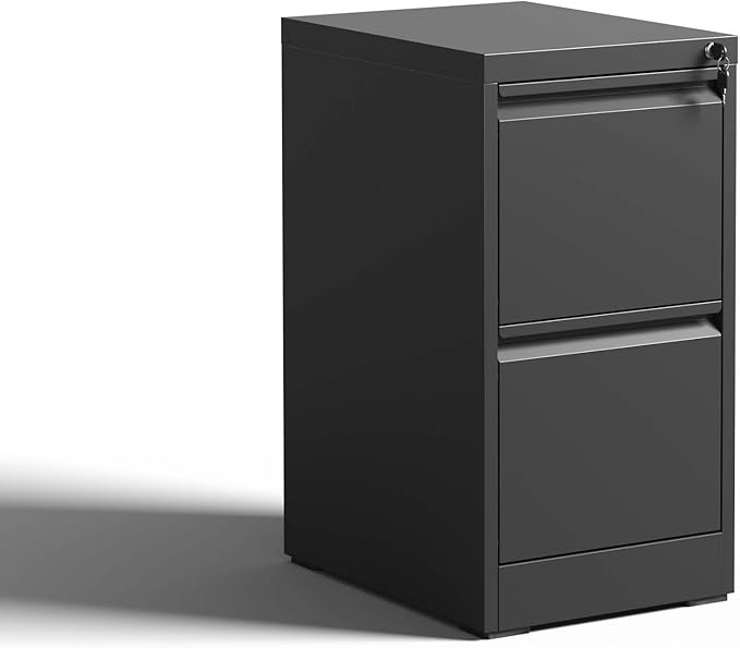 2 Drawer Small File Cabinet with LockUnder Desk Storage OrganizerModern Farmhouse Filing Cabinets for Home Office Locking DrawersBlack