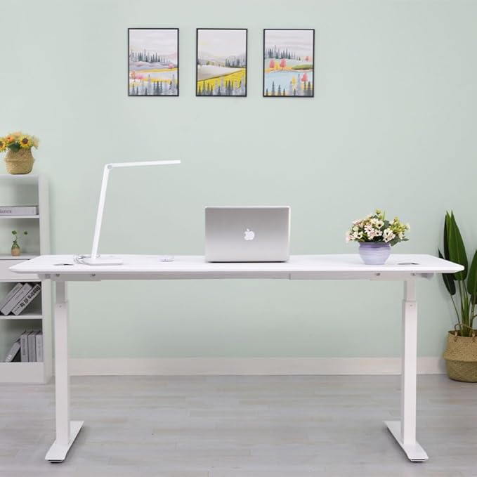 MotionWise M3 PRO Series Ergonomic Curve 30” x 60” Large Electric Sit-Stand Desk for Home Office w/Dual Motors Memory Presets (White)
