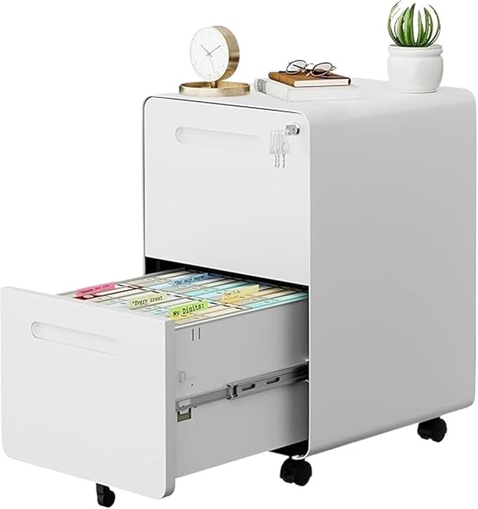 Mobile File Cabinet 2 Drawer File Cabinet with Lock and 4 Keys Mobile Metal Filing Cabinets for Home Office Under Desk Pre-Assembly(White)