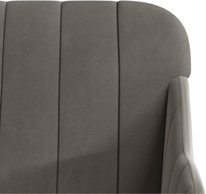 Dark Gray Velvet Loveseat Sofa with Adjustable Armrests Modern Contemporary Fabric Upholstered Furniture for Living Room Durable Steel Frame and Plywood Medium Design