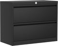 GarveeHome 2-Drawer File Cabinet with Lock Metal Lateral Filing Cabinets for Letter/Legal Size Documents Heavy Duty File Storage for Home Office Black